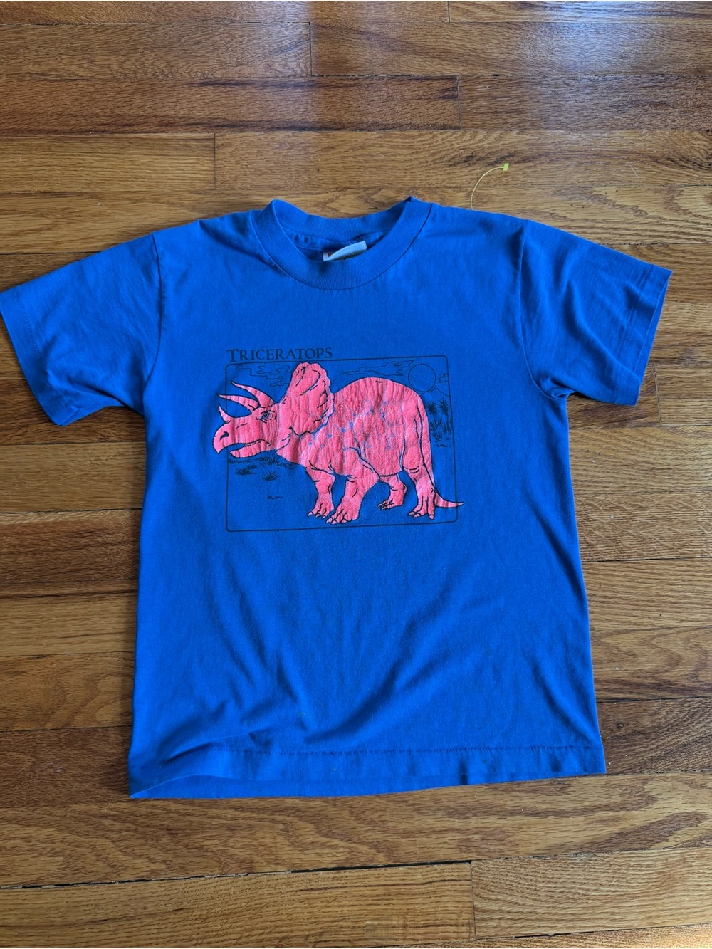Vintage 90s Triceratops Dinosaur T-shirt, Youth Medium, Cute Blue Single Stitch